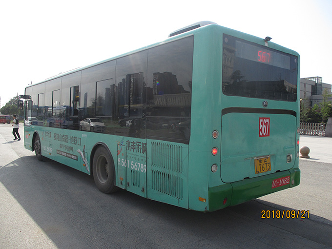 郑州567路公车广告.jpg